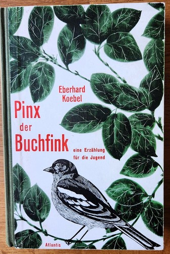 Pinx der buchfink - pinx,