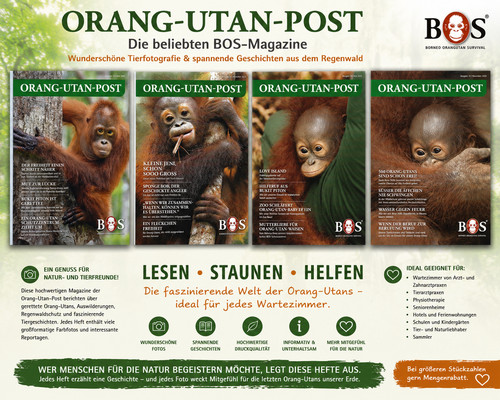 Orang utan post - orang-utan-post, bos