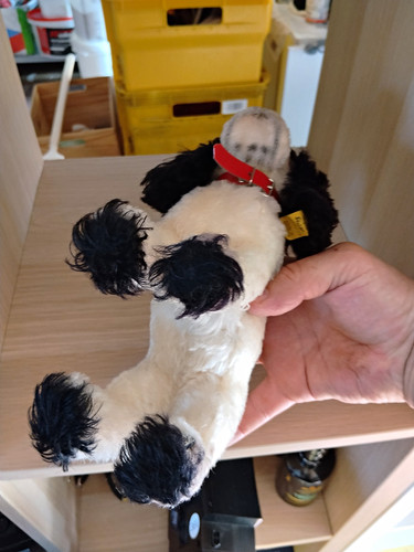 Steiff plüschtier hund mini - steiff,