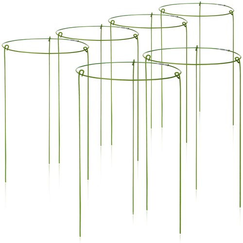 Blumen staudenhalter - blumen-,