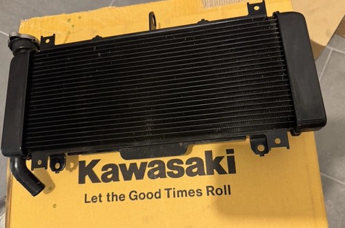 Kawasaki z650 er650 - kawasaki,