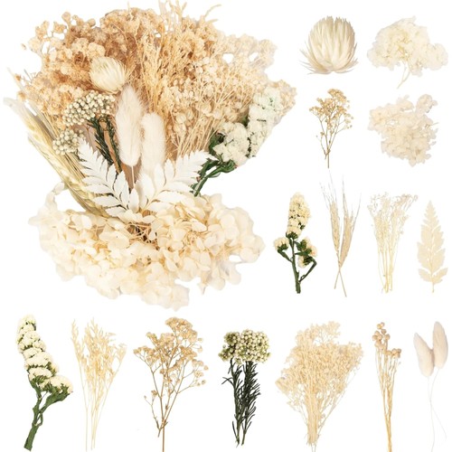 Trockenblumen set mini - trockenblumen,