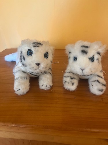 Weissetiger babys siegfried - 2,