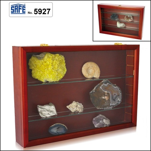Holzvitrine mineralien maxi - holzvitrine,