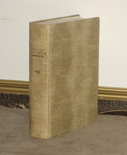 Seltenes altes kräuterbuch - seltenes,
