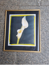 Wandbild Wohnzimmer hochwertiger Rahmen,Blume hinter Glas, Calla
