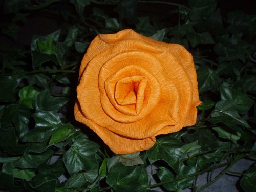 Große krepprosen orange - krepprosen,