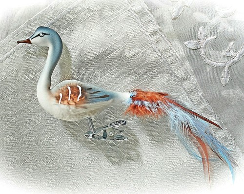 Graureiher glas vogel - ❀,