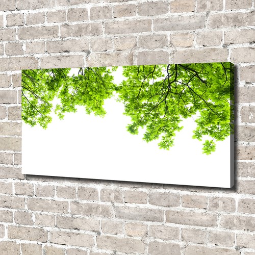 Leinwandbild kunst druck - leinwandbild, kunst-druck