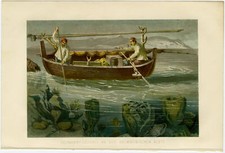 Schwammfischerei Dalmatien