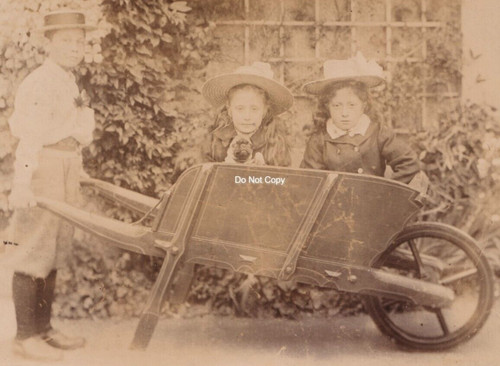 Kabinett karte fotos - kabinett, kinder