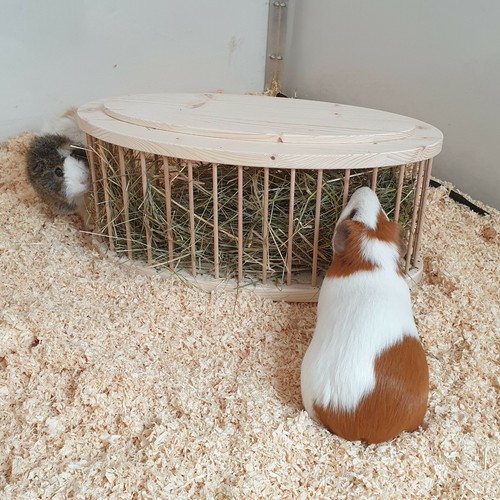 Heuraufe heu raufe kaninchen - heu,