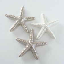 Deko Maritim Seestern ca. 11 cm breit Porzellan perleffekt Farbwahl