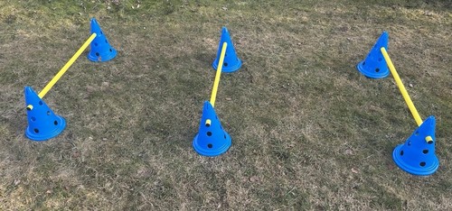 Hundetraining hürden set - hürden,
