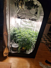 Growbox Komplettset 90x90x180 cm (35x35x70)