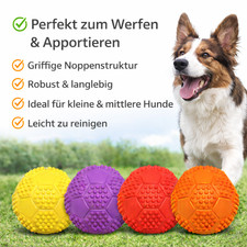 Hundespielzeug Hunde Dog