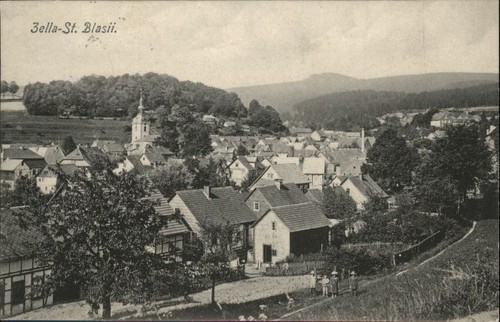 Zella blasii - zella,
