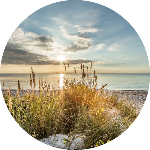 Pro art glasbild wilder strand - glasbild,