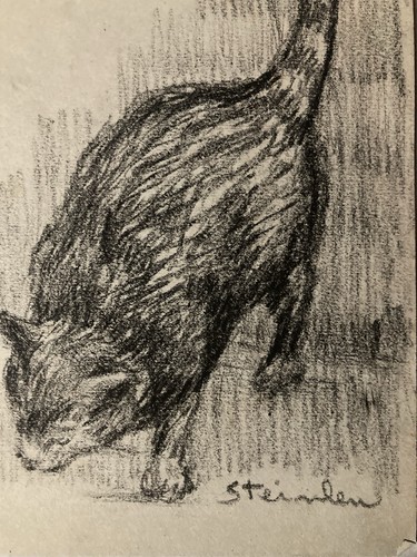 Zeichnung original katze - zeichnung,