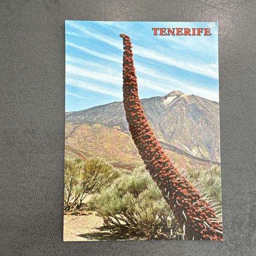 Postkarte teneriffa teide - teneriffa, el