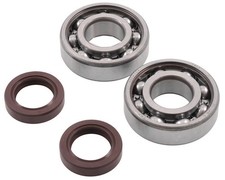 Kurbelwellenlager Kit R&D SKF