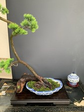 Blau-weißer Lotus Schnörkel