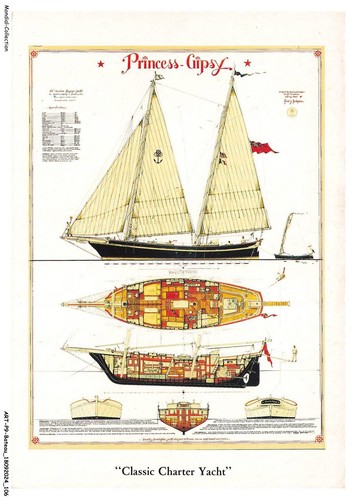 Artp9 0616 bateau princess - bateau,