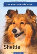 Sheltie: Expertenwissen