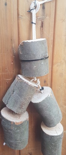 Knabberholz trocken für - trocken,