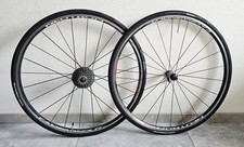 Campagnolo neutron - campagnolo,