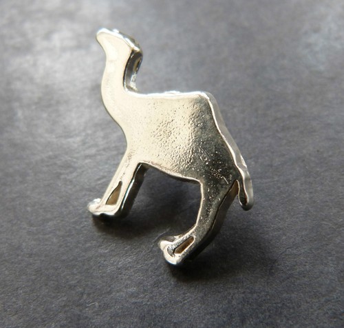 Camel dromedar pins - dromedar,