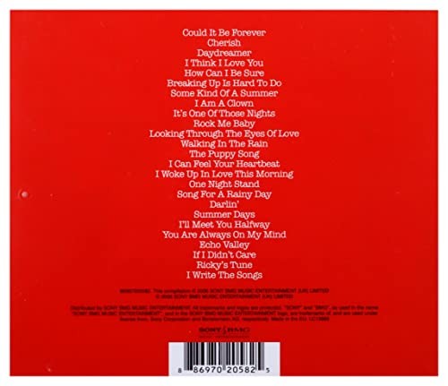 David cassidy the partridge - cassidy, &