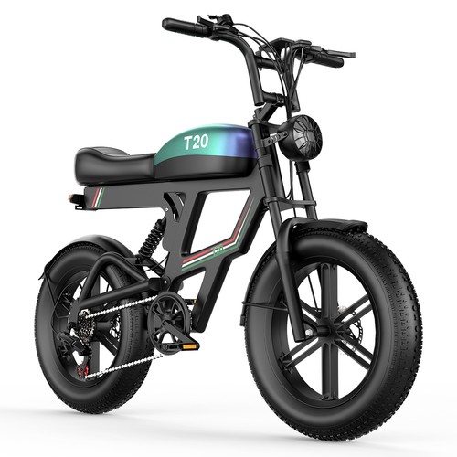 Elektrofahrrad für