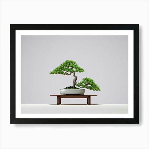 Bonsai baum zart elegant - zart, ast