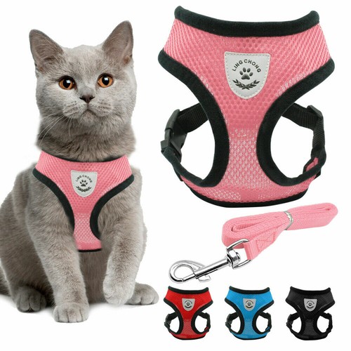 Katzengeschirr mit leine - katzengeschirr,