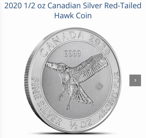 2020 canada redtailed - redtailed, hawk