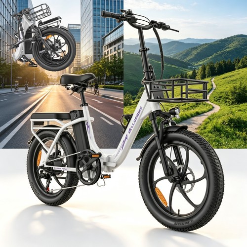 Gang 48v20ah akku allgobike - 48v20ah,