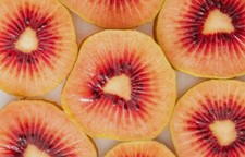 Ruby Red Kiwi Fruit Seeds (50)