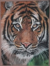 Original pastel painting tiger - pastel,