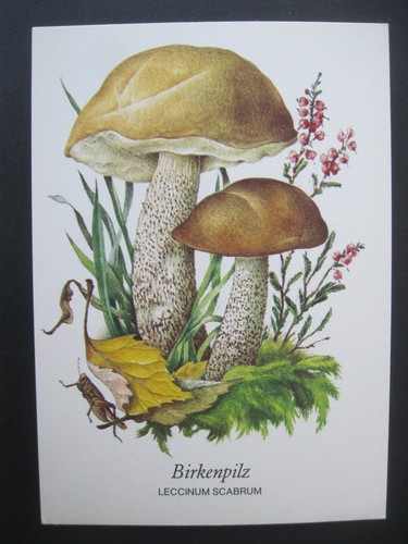 Ansichtskarte postkarte - ansichtskarte,