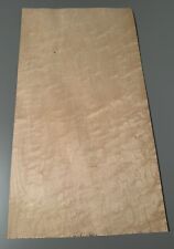 4x VOGELAUGENAHORN FURNIER