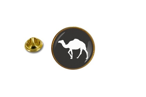 Dromedar chameau camel - chameau,
