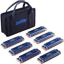 Mundharmonika Diatonisch 10