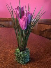 3 Tulpen auf Grassockel