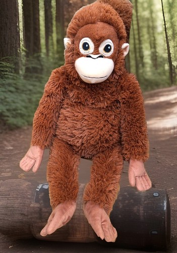 Affe orang utan schimpanse - affe,