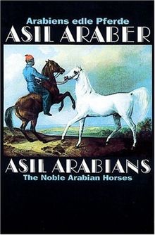 Arabiens edle pferde asil - arabiens,