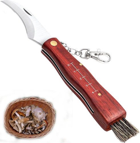 Pilzmesser mit bürste und - bürste,