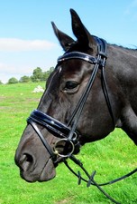 FSS STELLAR Curve CRYSTAL