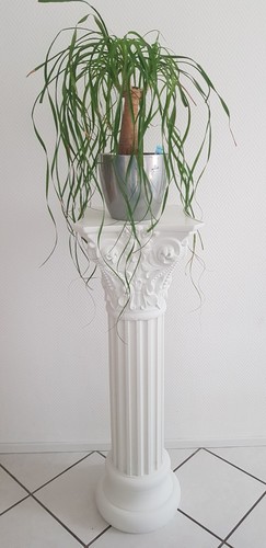 Dekosäule xxl blumensäule - dekosäule,