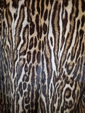 Echter Ozelot Mantel mit Cites